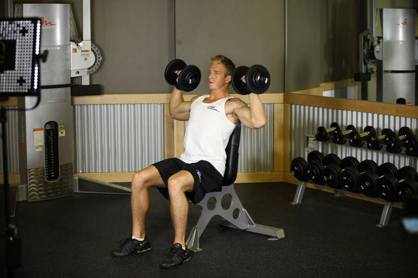 Dumbbell Shoulder Press Dumbbell Shoulder Press