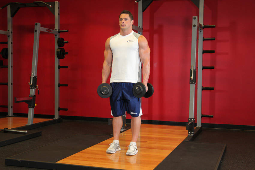 Dumbbell Shrug Dumbbell Shrug