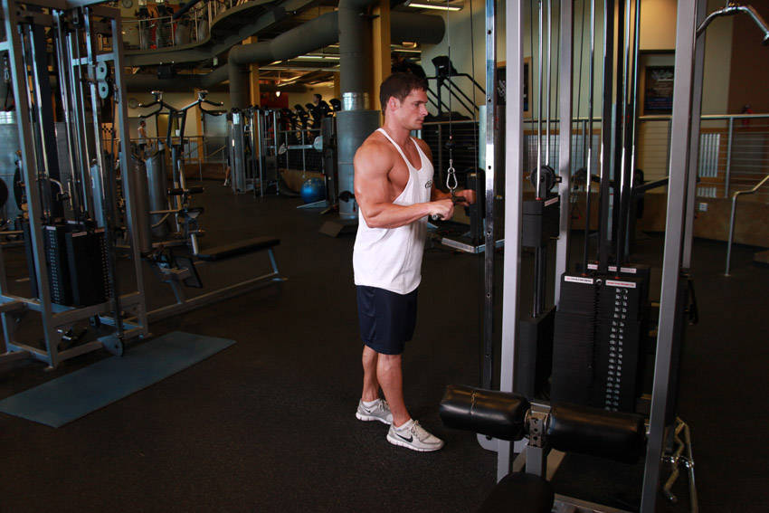 Triceps Pushdown Triceps Pushdown